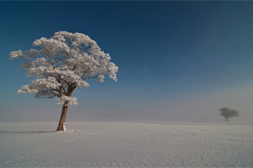 632671 (a): :4000x2657